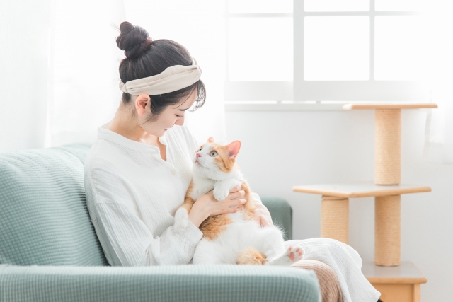 平屋の一人暮らしで猫と豊かに暮らす。Ocean Studioが提案する理想の住まい アイキャッチ